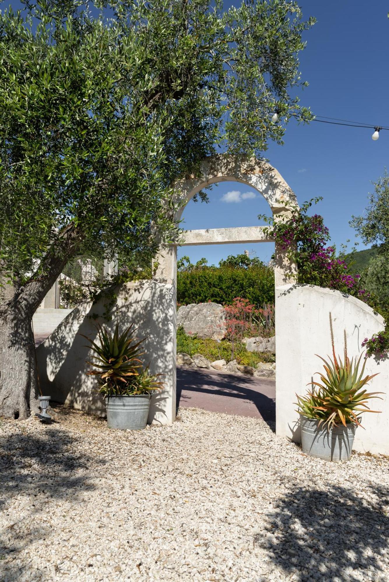 Hmo Glamping & Suites In Vignanotica Mattinata Kültér fotó