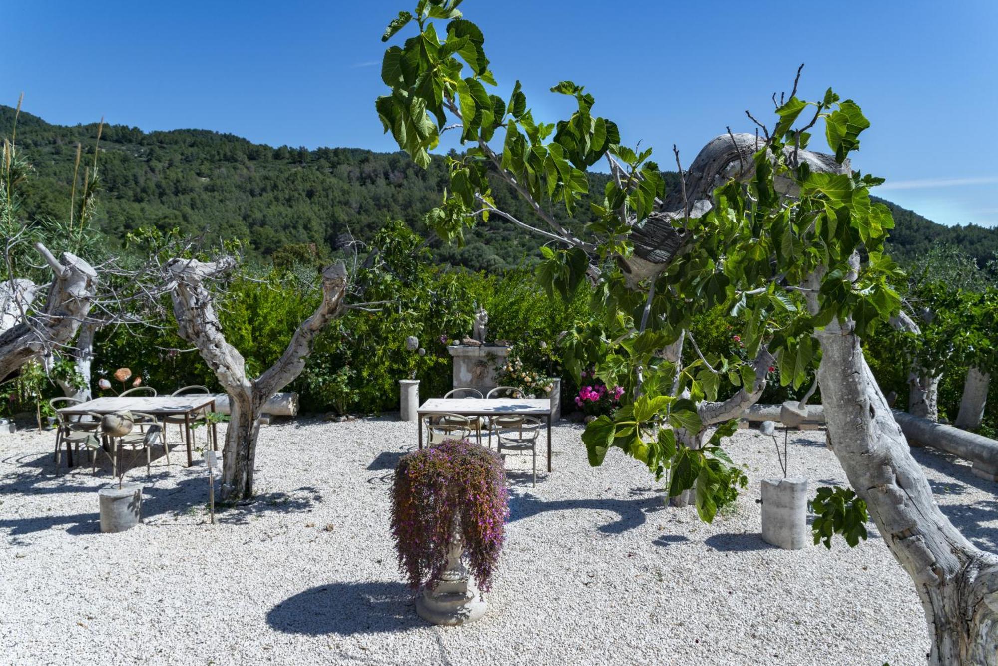 Hmo Glamping & Suites In Vignanotica Mattinata Kültér fotó