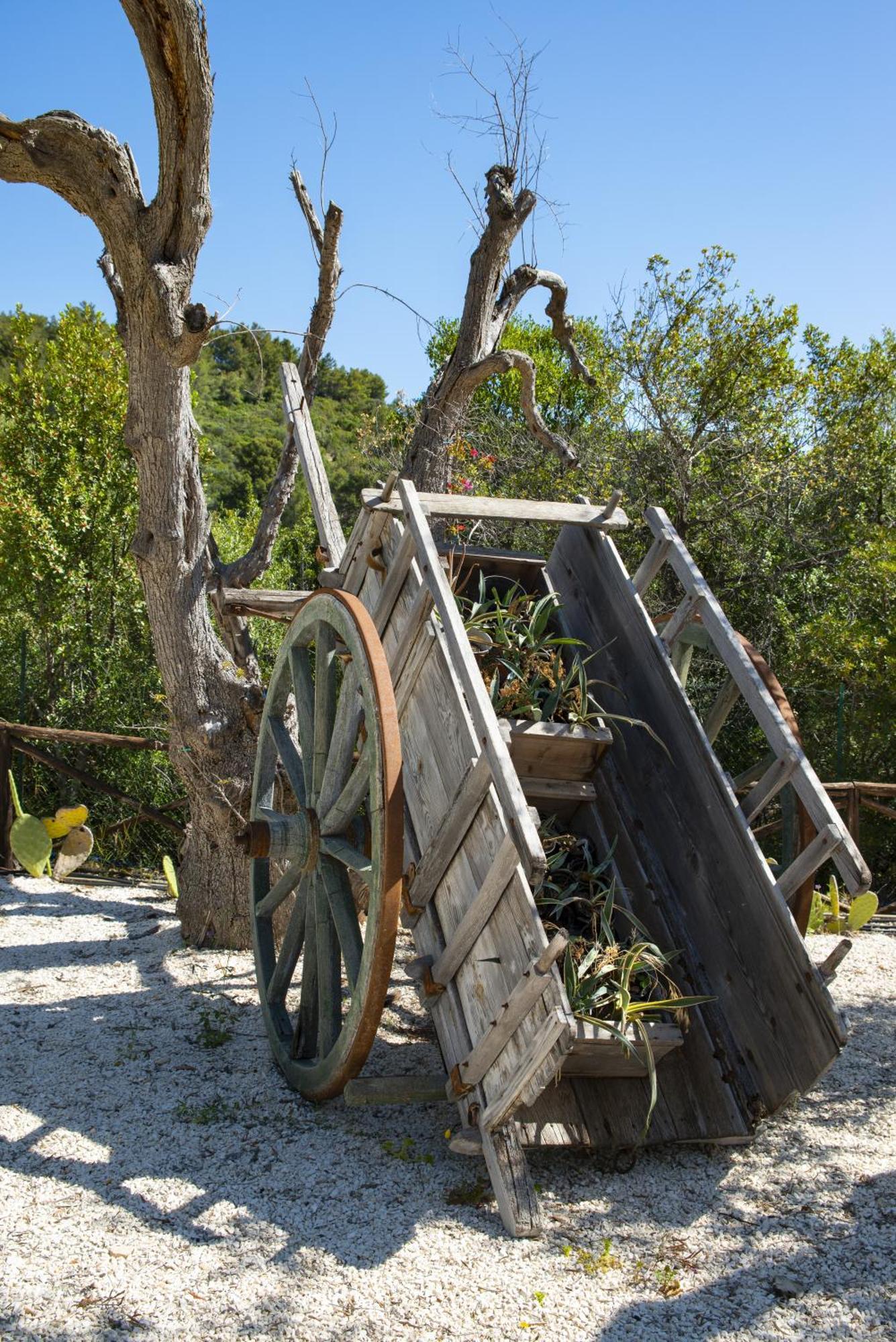 Hmo Glamping & Suites In Vignanotica Mattinata Kültér fotó